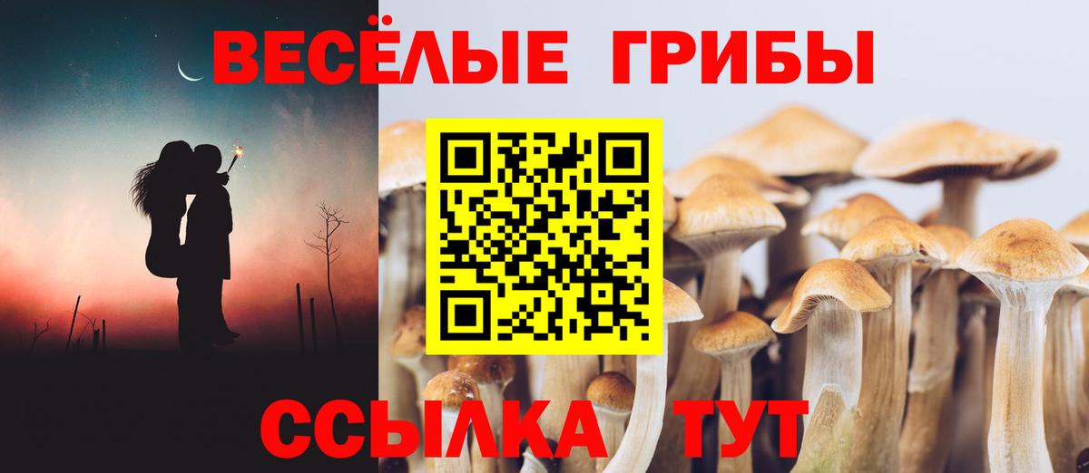 Псилоцибиновые грибы Psilocybe  Галлюциногенные грибы MAGIC MUSHROOMS  Десногорск  Вход с VPN 