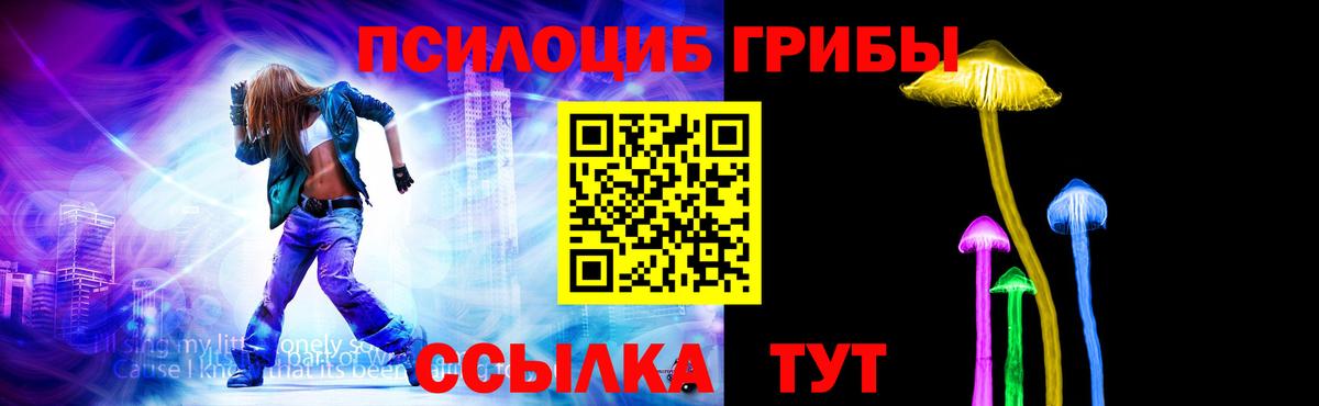 Псилоцибиновые грибы GOLDEN TEACHER Десногорск